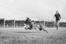 Load image into Gallery viewer, Private Training (Virtual)