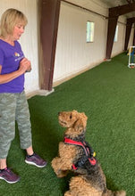 Load image into Gallery viewer, Basic Level One